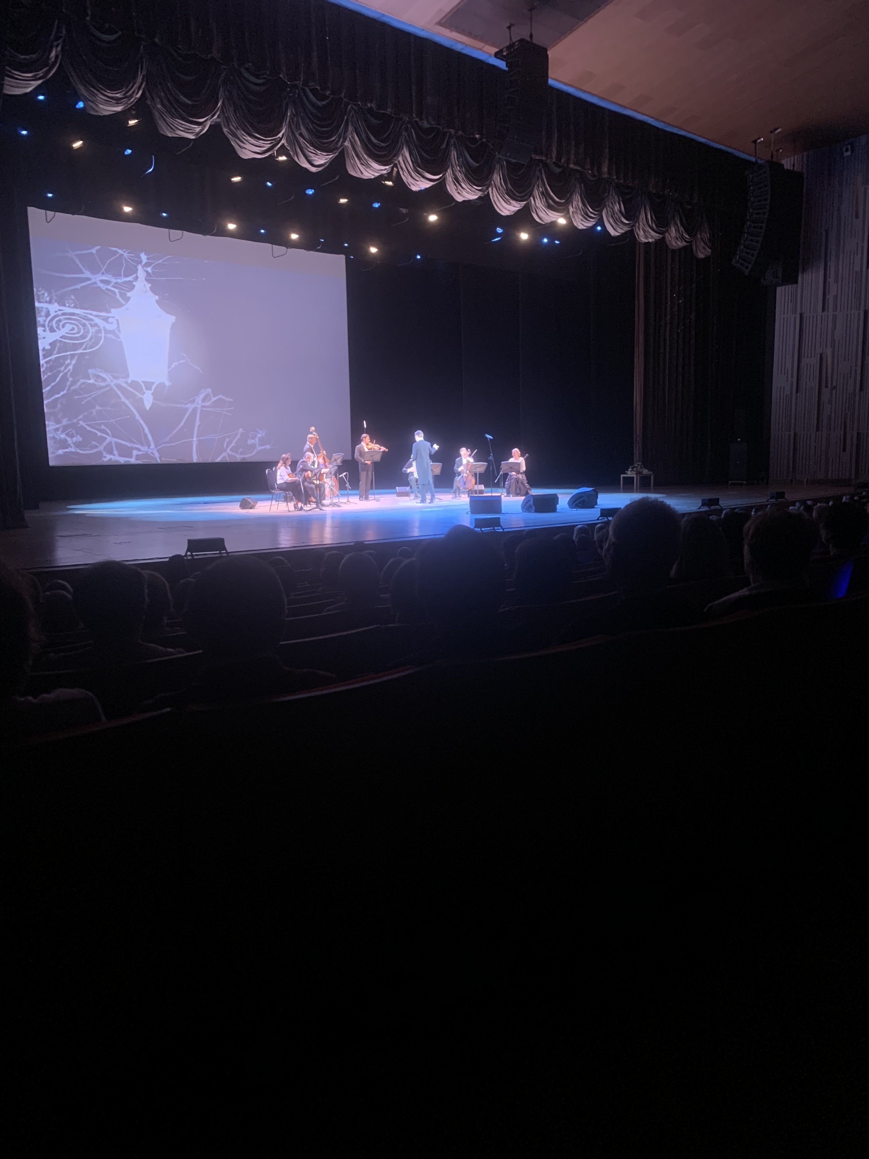 IMG_0556.jpeg