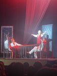 IMG_2117.jpeg