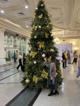 IMG_3725.jpeg