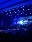 IMG_3336.jpeg