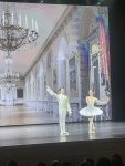 IMG_3458.jpeg