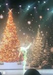 IMG_5878.jpeg