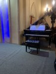 IMG_6206.jpeg