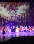 IMG_6687.jpeg