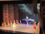 IMG_1005.jpeg