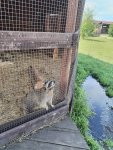 IMG_20250721_120430.jpg