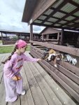 IMG_20250721_112347.jpg