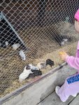 IMG_20250721_111425.jpg