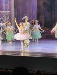 IMG_0593.jpeg